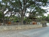 salt-lick-driftwood-outdoor-seating