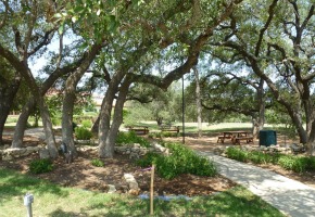 driftwood wineries