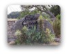 onion creek ranch